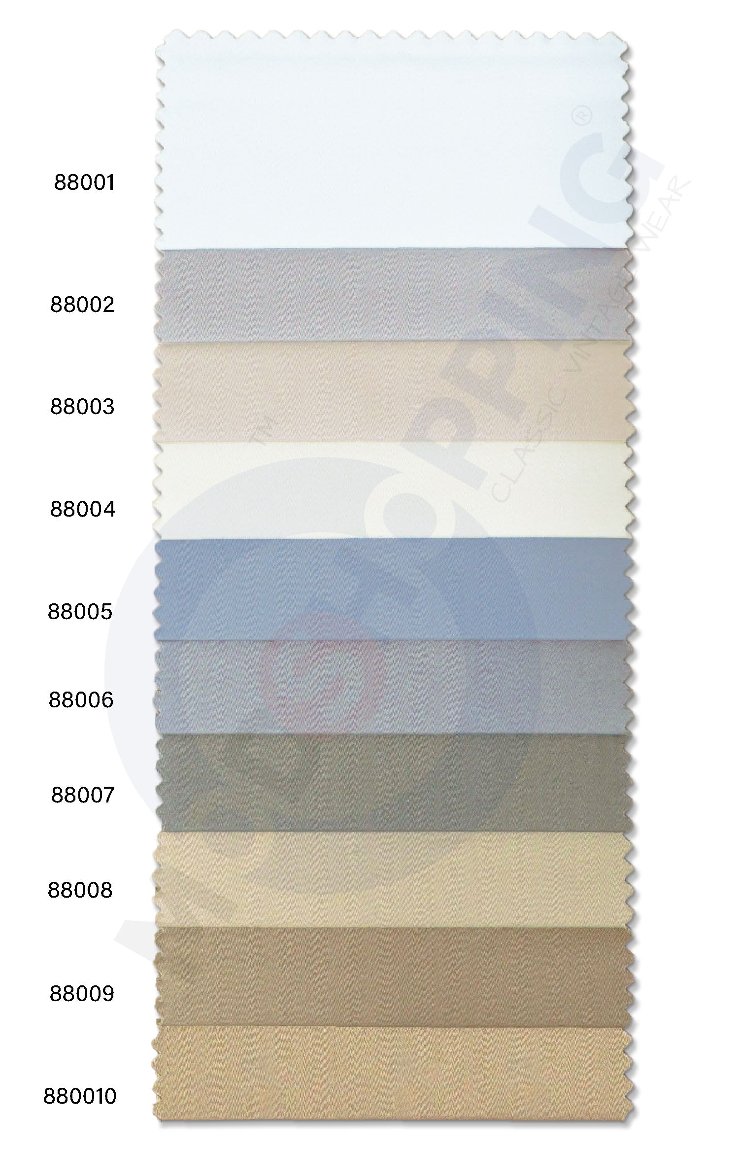 DFN Chino 01