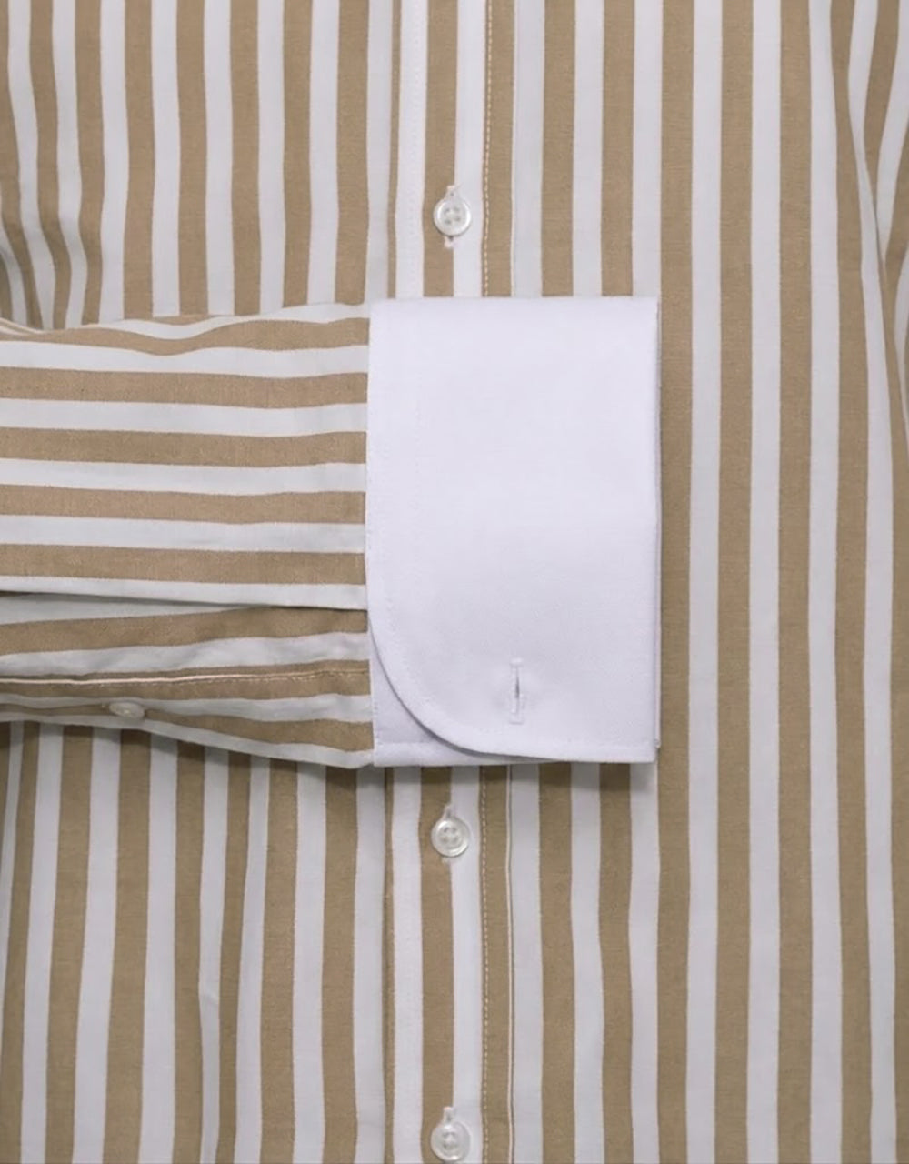 Brown & White Stripe Penny Pin Collar Shirt