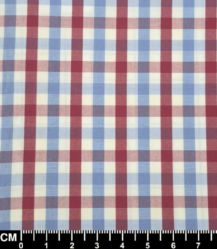 Red & Sky Blue Gingham Short Sleeve Fabric